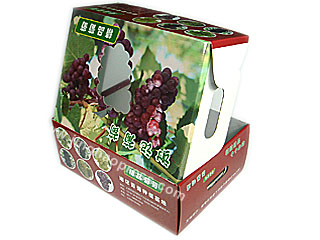 接蓋式瓦楞彩盒